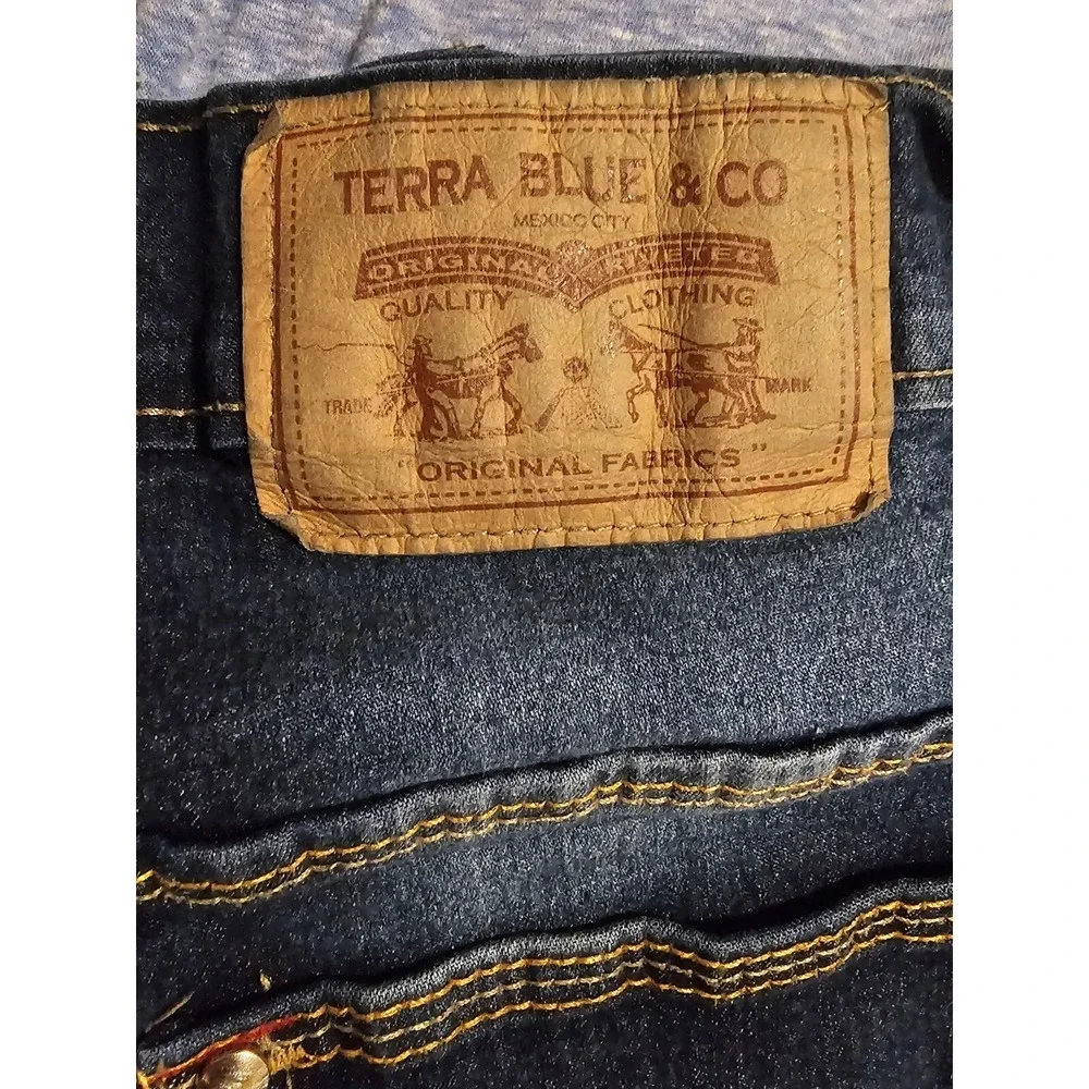 Terra Blue harley davidson